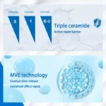 kf-S3096efe5afc245d9b1c7ad4fb5d598f9T